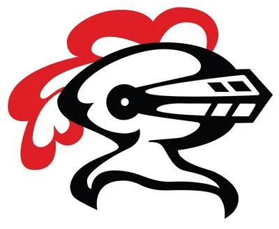 Lincoln-Way Central Lady Knights Volleyball Team